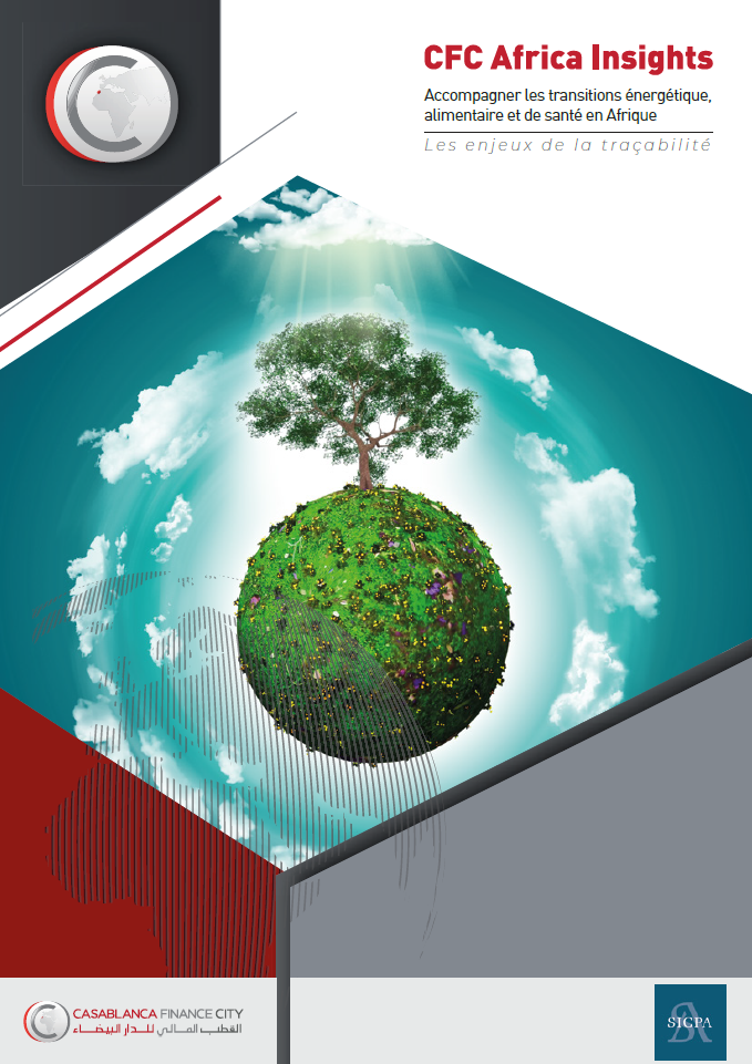 Rapport CFC Africa Insights