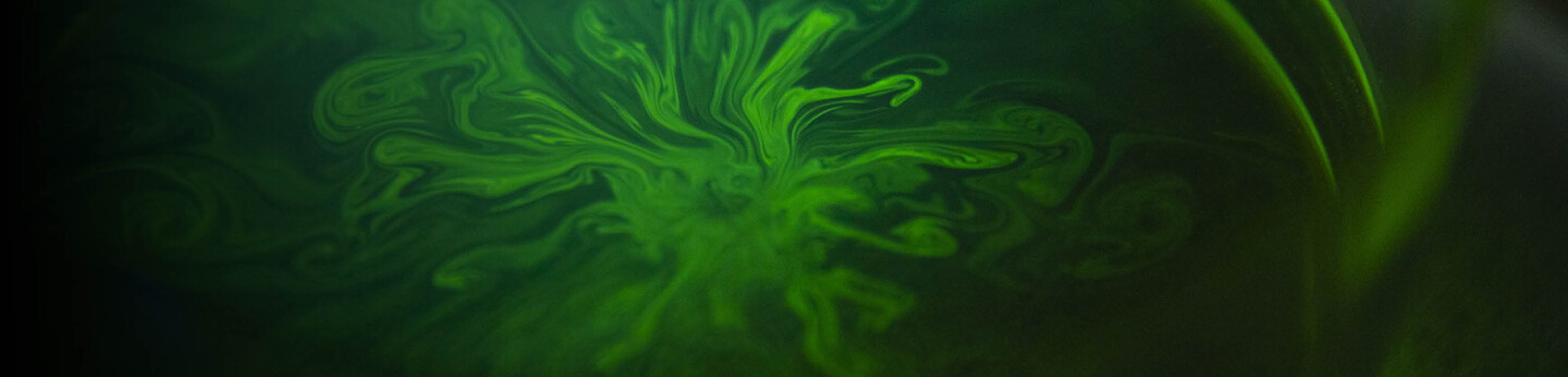 CSR report 2024 Header