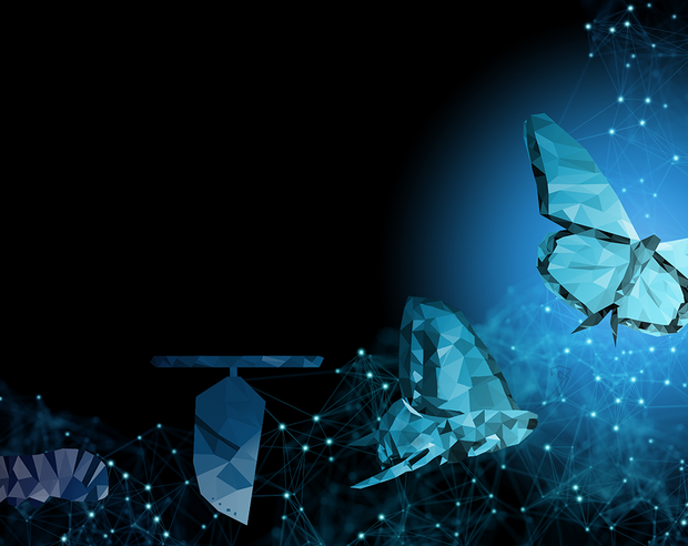 Digital cash takes flight